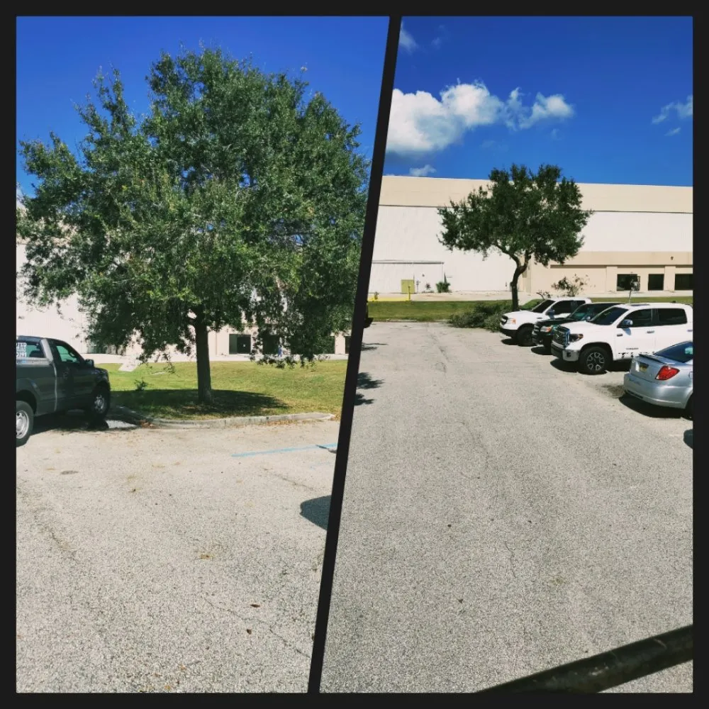 Expert outdoor landscaping in Cocoa, FL by Uprooted Tree & Lawn Care