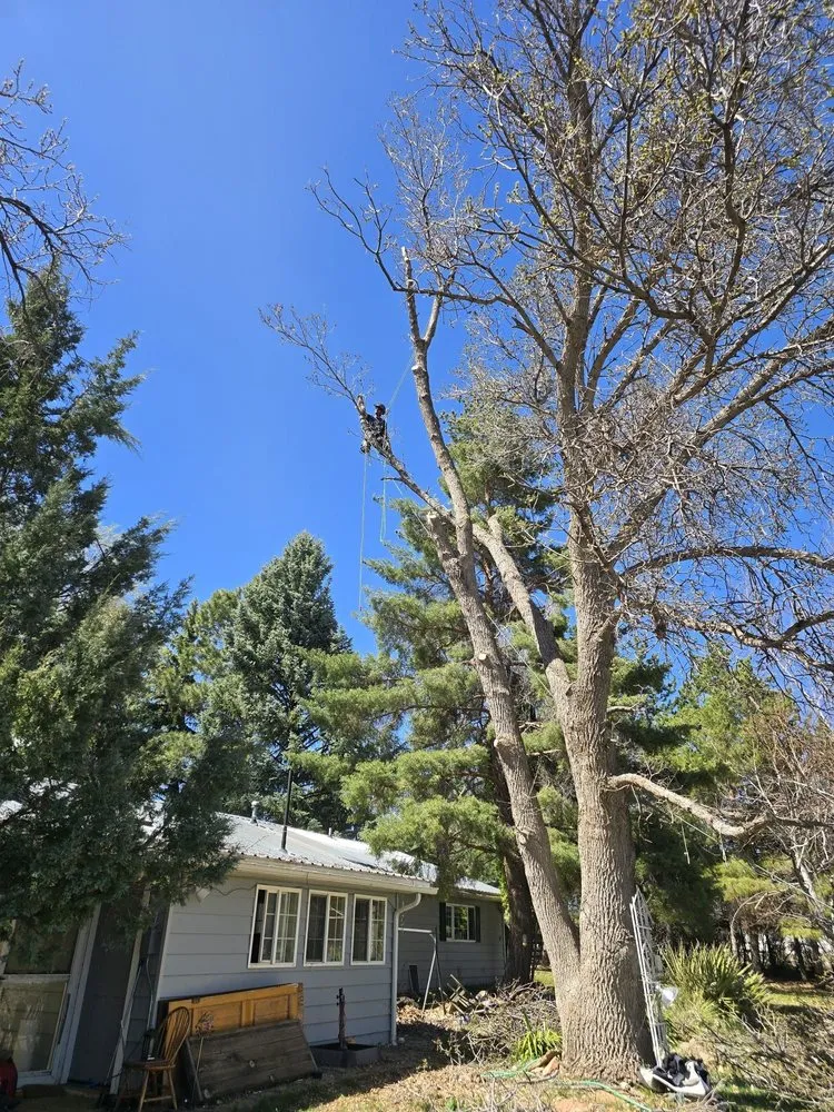 Professional garden landscaping in Cortez, CO by Uprooted Tree Care