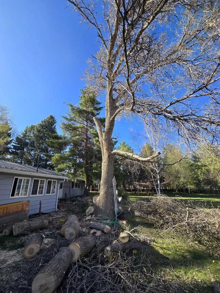Top-rated outdoor landscaping in Cortez, CO - Uprooted Tree Care