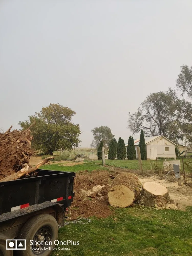 Affordable landscaping services in American Falls, ID - Uprooted Tree Works