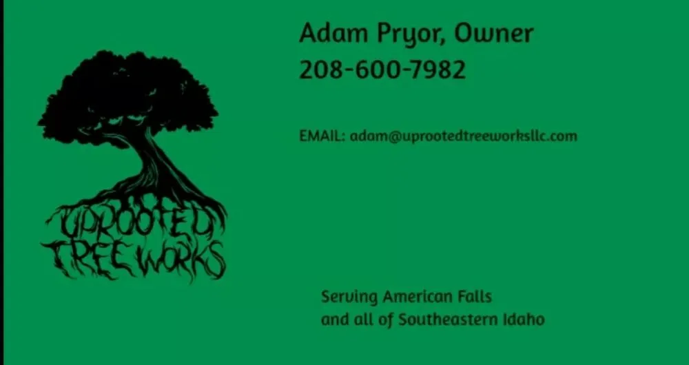 Professional lawn care service near you in American Falls, ID by Uprooted Tree Works