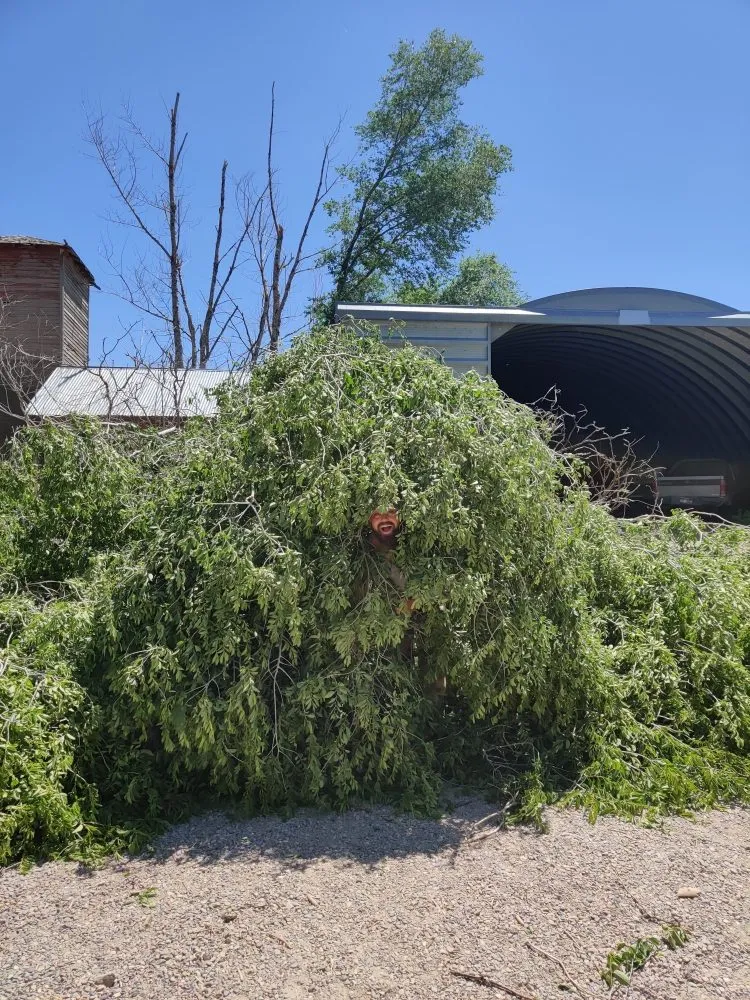 Local residential landscaping with custom design in American Falls, ID by Uprooted Tree Works