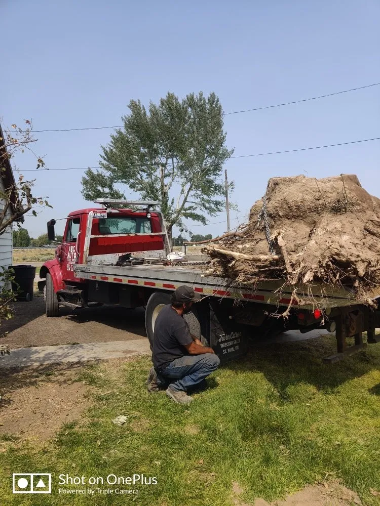 Reliable lawn care service near you in American Falls, ID by Uprooted Tree Works