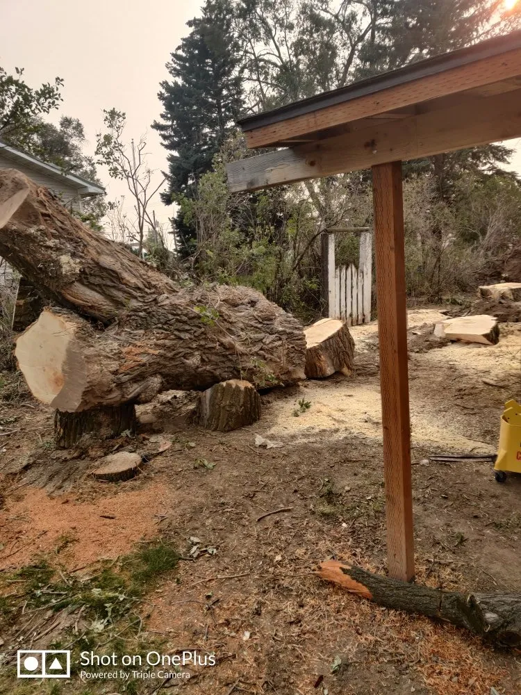 Top-rated landscape design for residential properties in American Falls, ID by Uprooted Tree Works