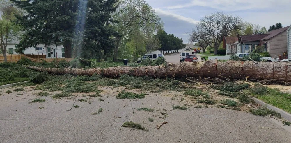 Affordable lawn mowing service experts serving American Falls, ID - Uprooted Tree Works