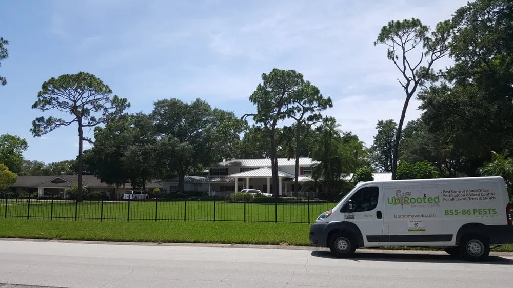 Affordable lawn mowing service in Clearwater, FL by Uprooted Weed & Pest Control