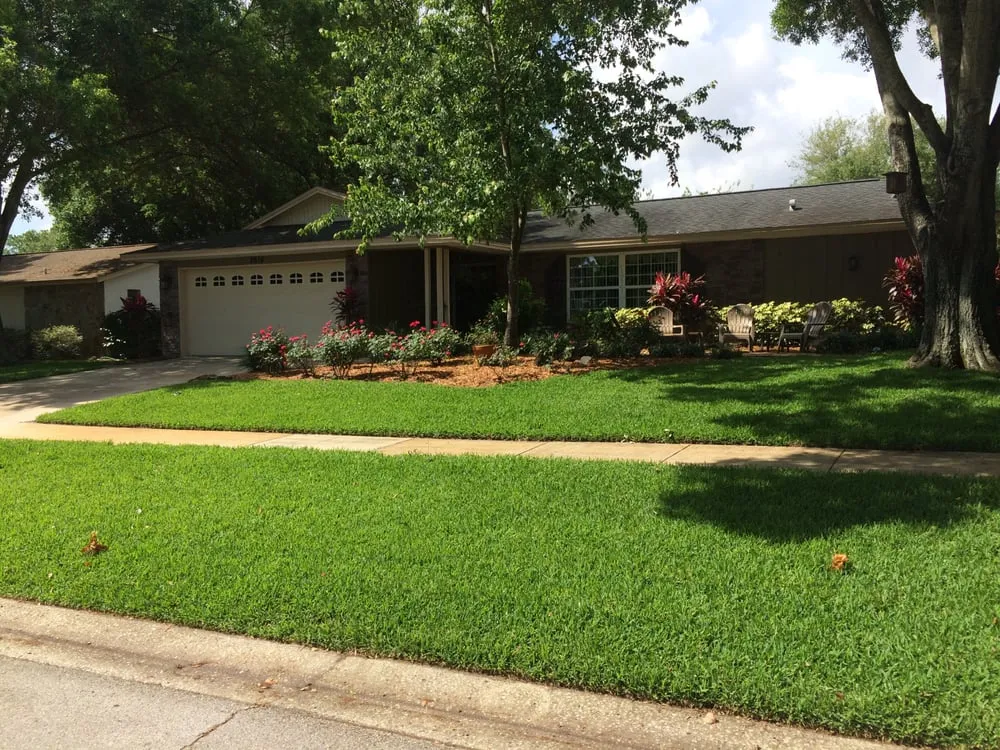 Professional residential landscaping in Clearwater, FL - Uprooted Weed & Pest Control