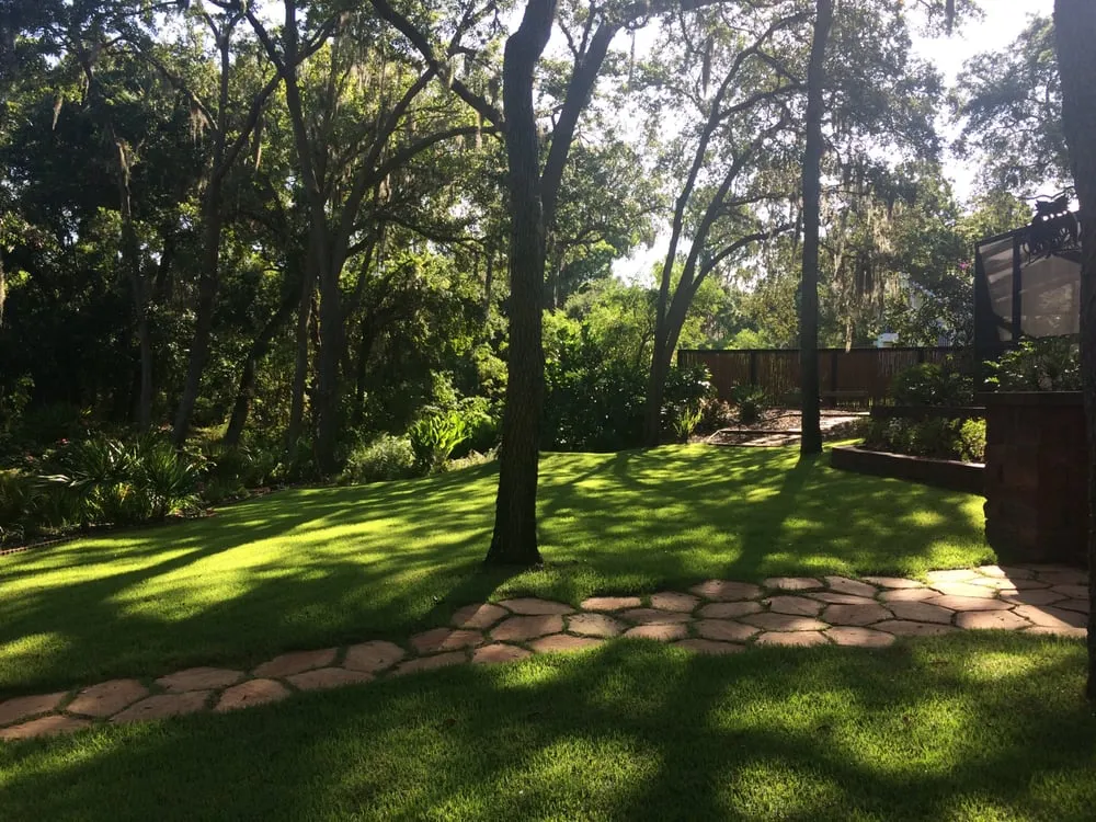 Professional yard cleanup service near you across Clearwater, FL - Uprooted Weed & Pest Control