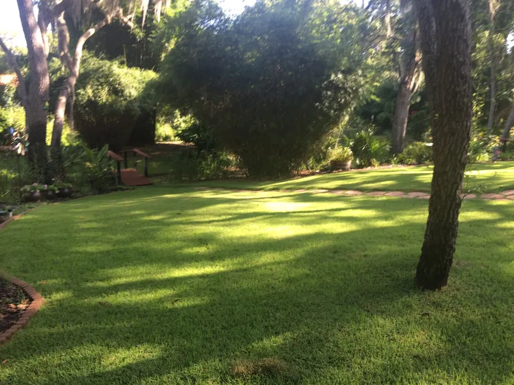 Expert yard maintenance experts serving Clearwater, FL - Uprooted Weed & Pest Control