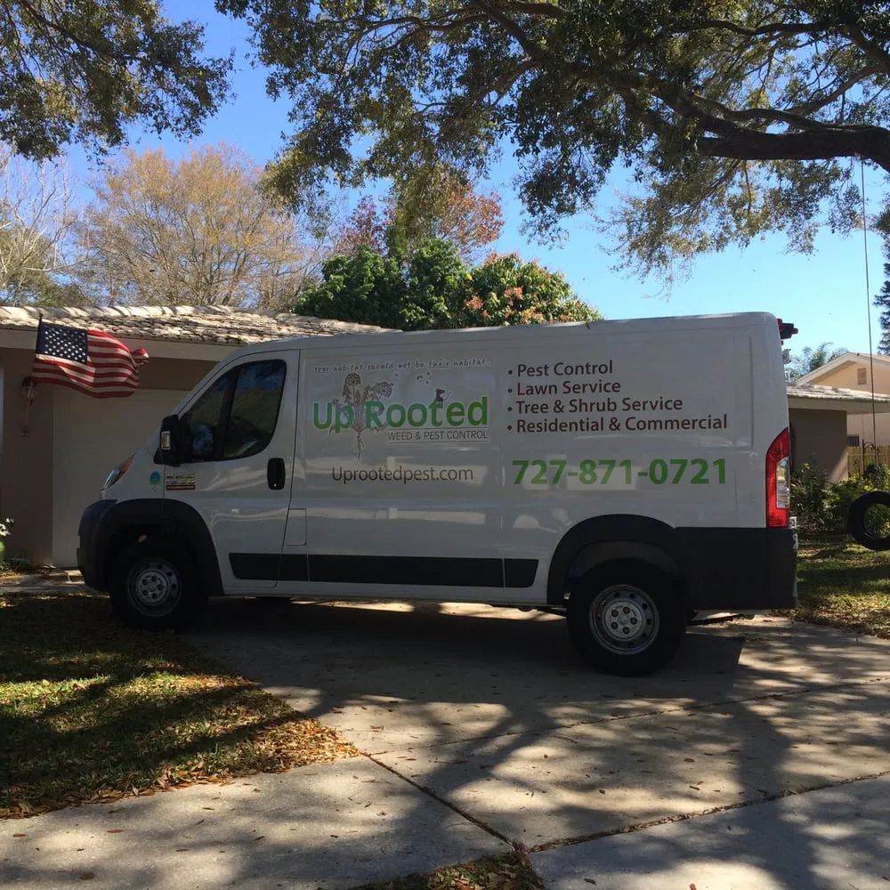 Trusted outdoor landscaping experts serving Clearwater, FL - Uprooted Weed & Pest Control