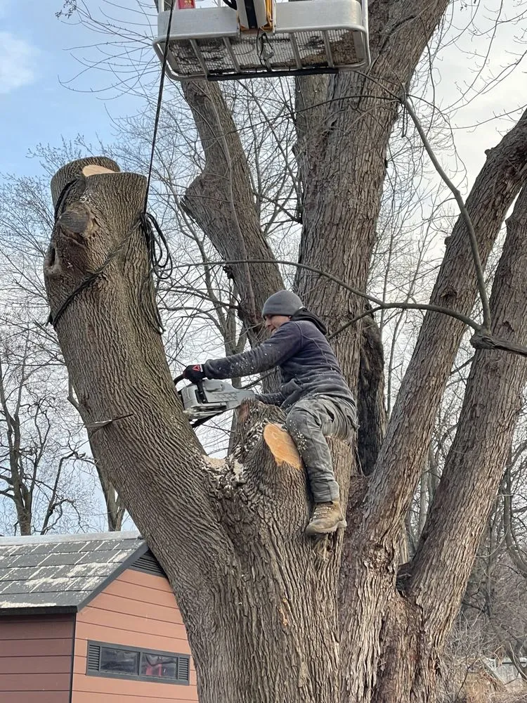 Top-rated lawn mowing service for residential properties across Rensselaer, NY - Upscale Lawn Pros