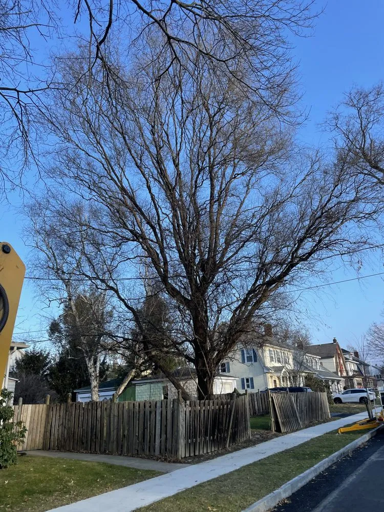 Custom lawn care service experts serving Rensselaer, NY - Upscale Lawn Pros