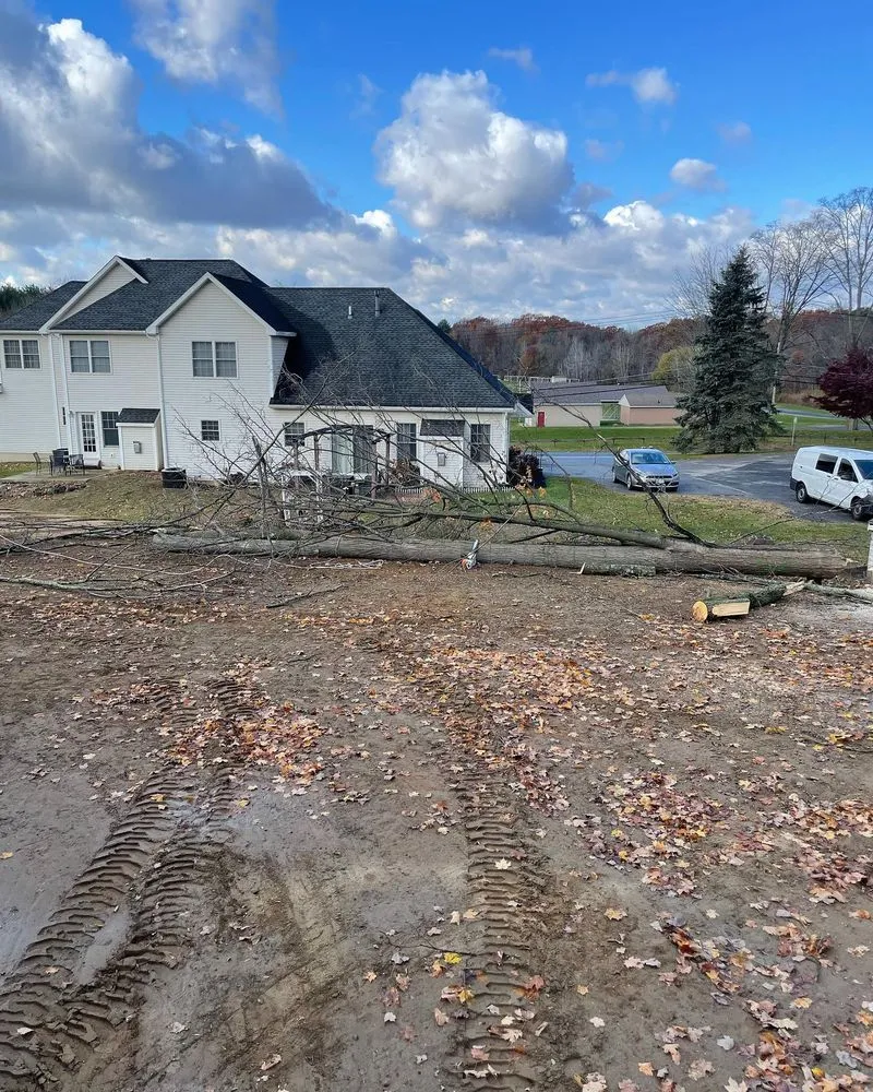 Local lawn care service for outdoor upgrades in Rensselaer, NY by Upscale Lawn Pros