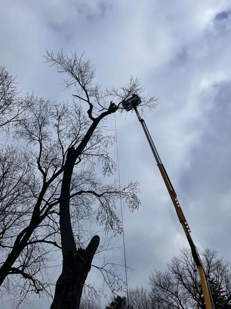 Expert lawn mowing service for homes in Rensselaer, NY by Upscale Lawn Pros