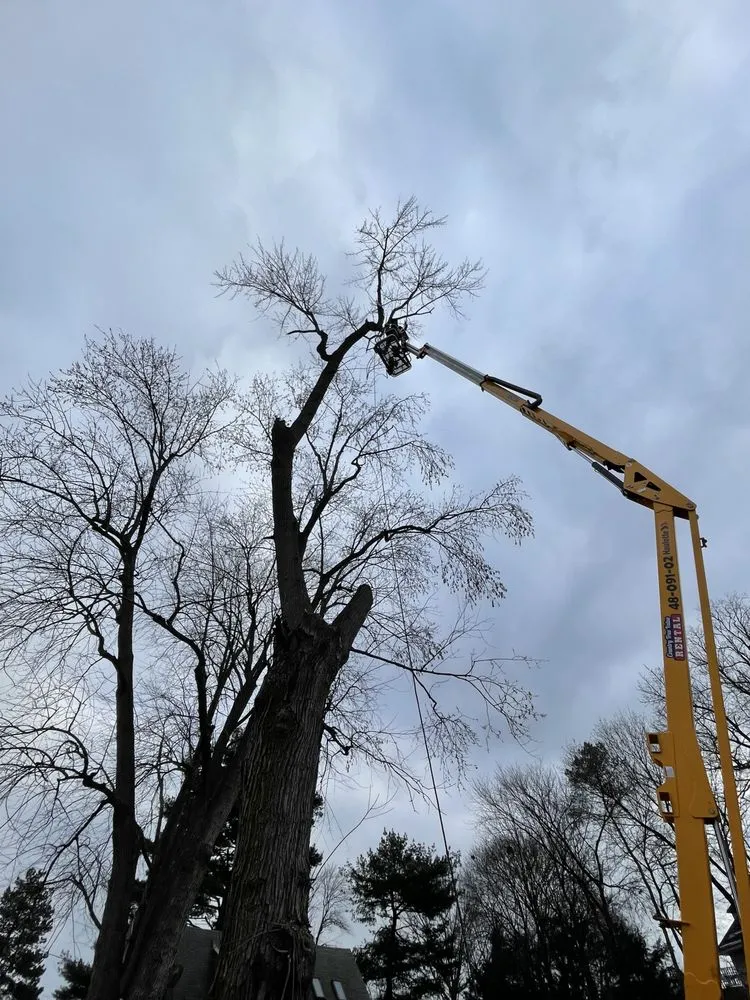 Custom landscape installation for year-round maintenance in Rensselaer, NY by Upscale Lawn Pros