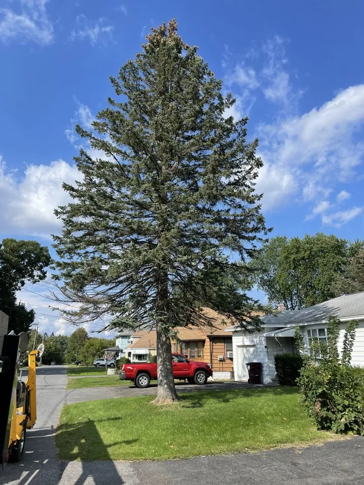 Top-rated landscape installation in Rensselaer, NY - Upscale Lawn Pros