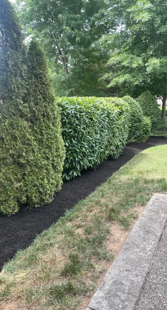 Custom lawn care service in Bon Aqua, TN by UPscape