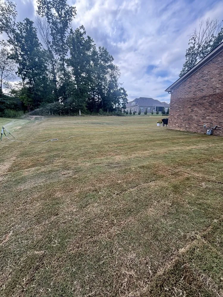 Custom yard maintenance experts serving Bon Aqua, TN - UPscape