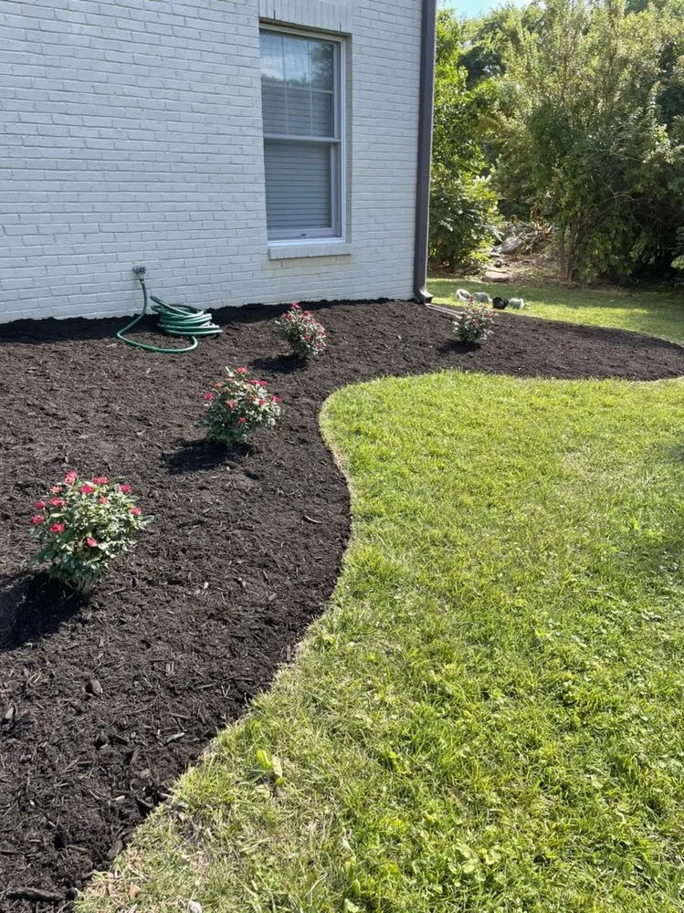 Trusted lawn care service experts serving Bon Aqua, TN - UPscape