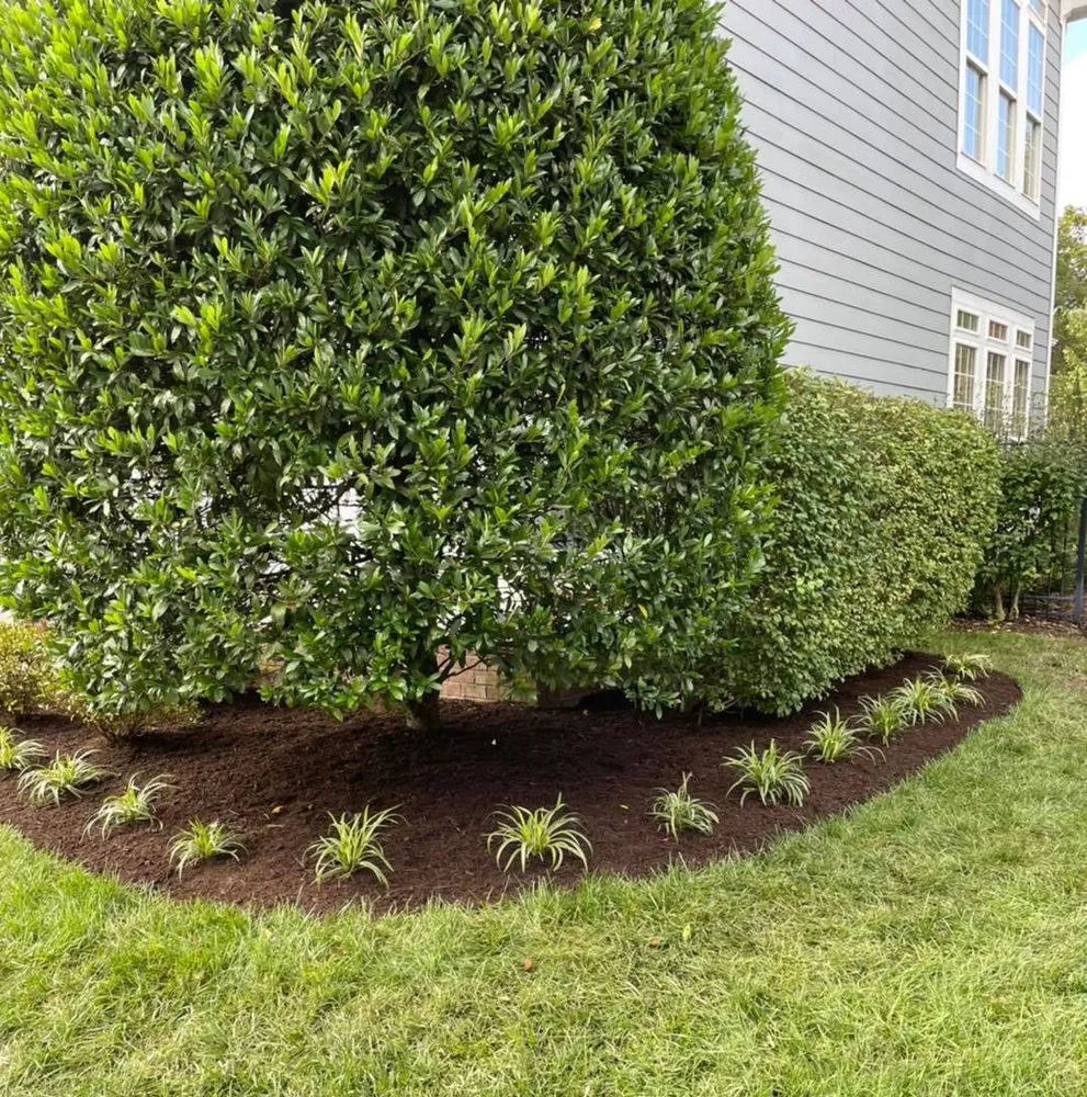 Expert yard cleanup service for outdoor upgrades across Bon Aqua, TN - UPscape