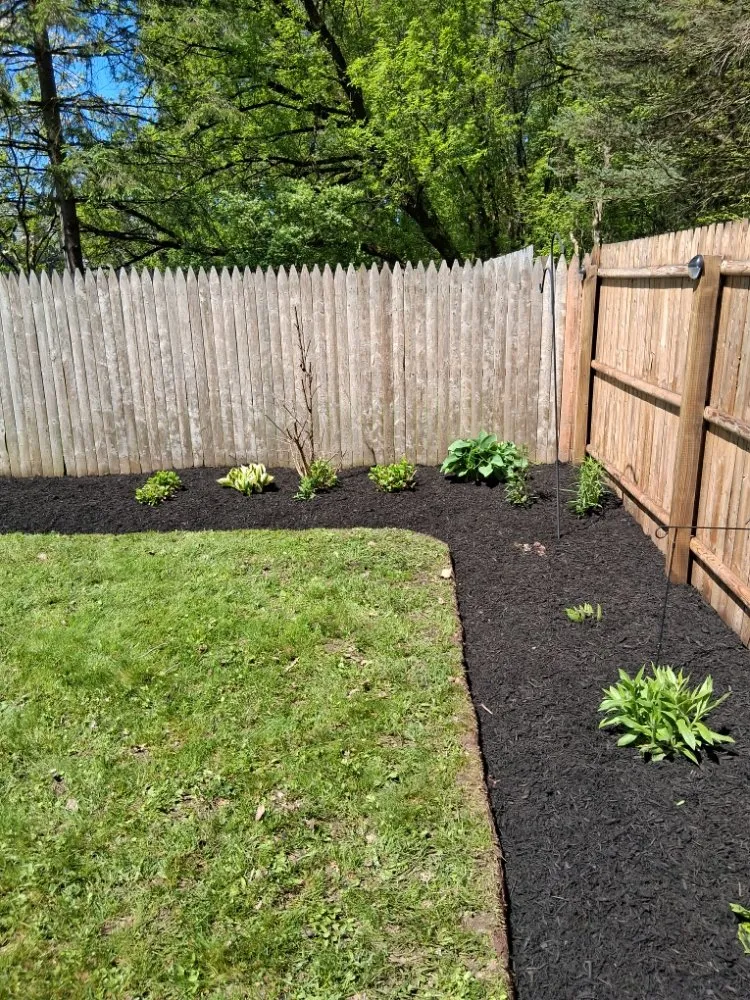 Top-rated yard cleanup service in Clay, NY - Upscapes