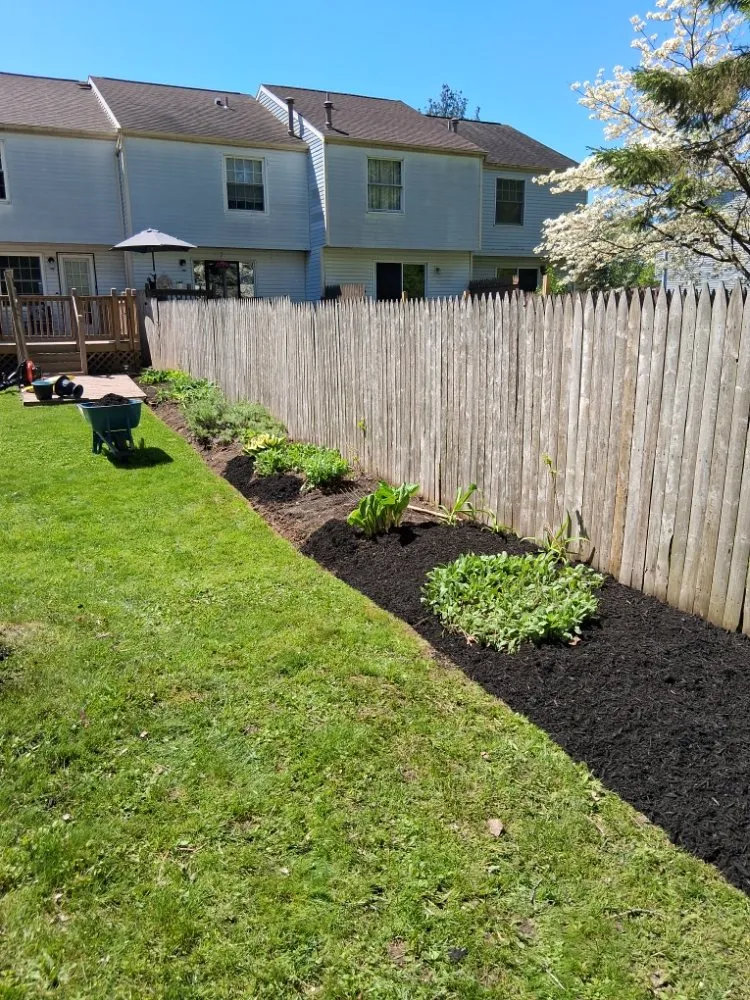 Top-rated yard cleanup service experts serving Clay, NY - Upscapes