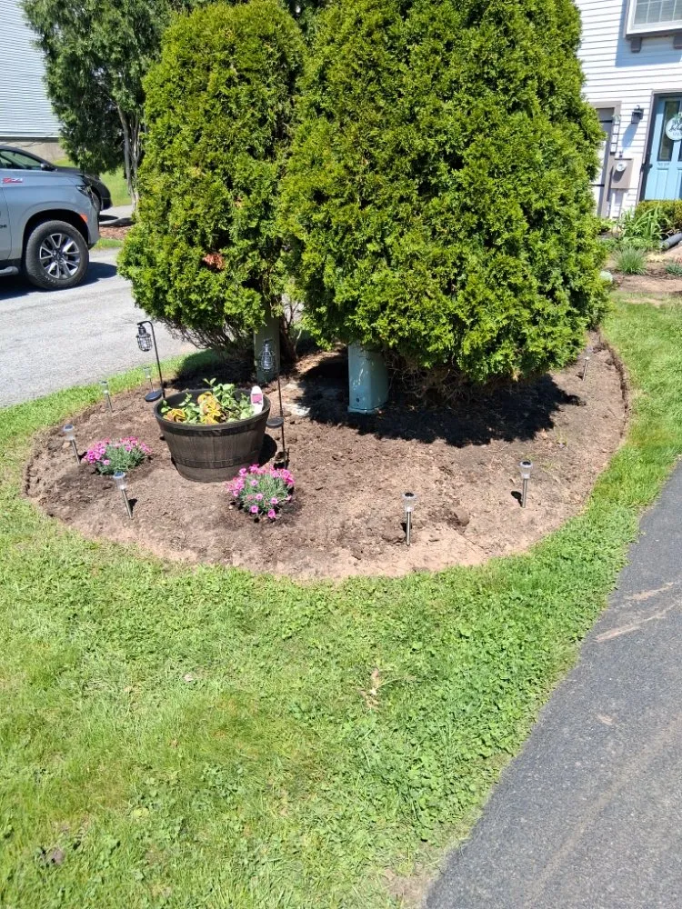 Trusted lawn care service in Clay, NY by Upscapes
