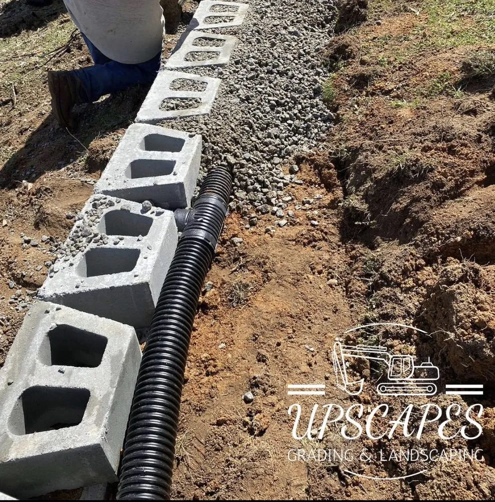 Affordable landscape installation for year-round maintenance in Warrenville, SC by Upscapes Grading & Landscaping