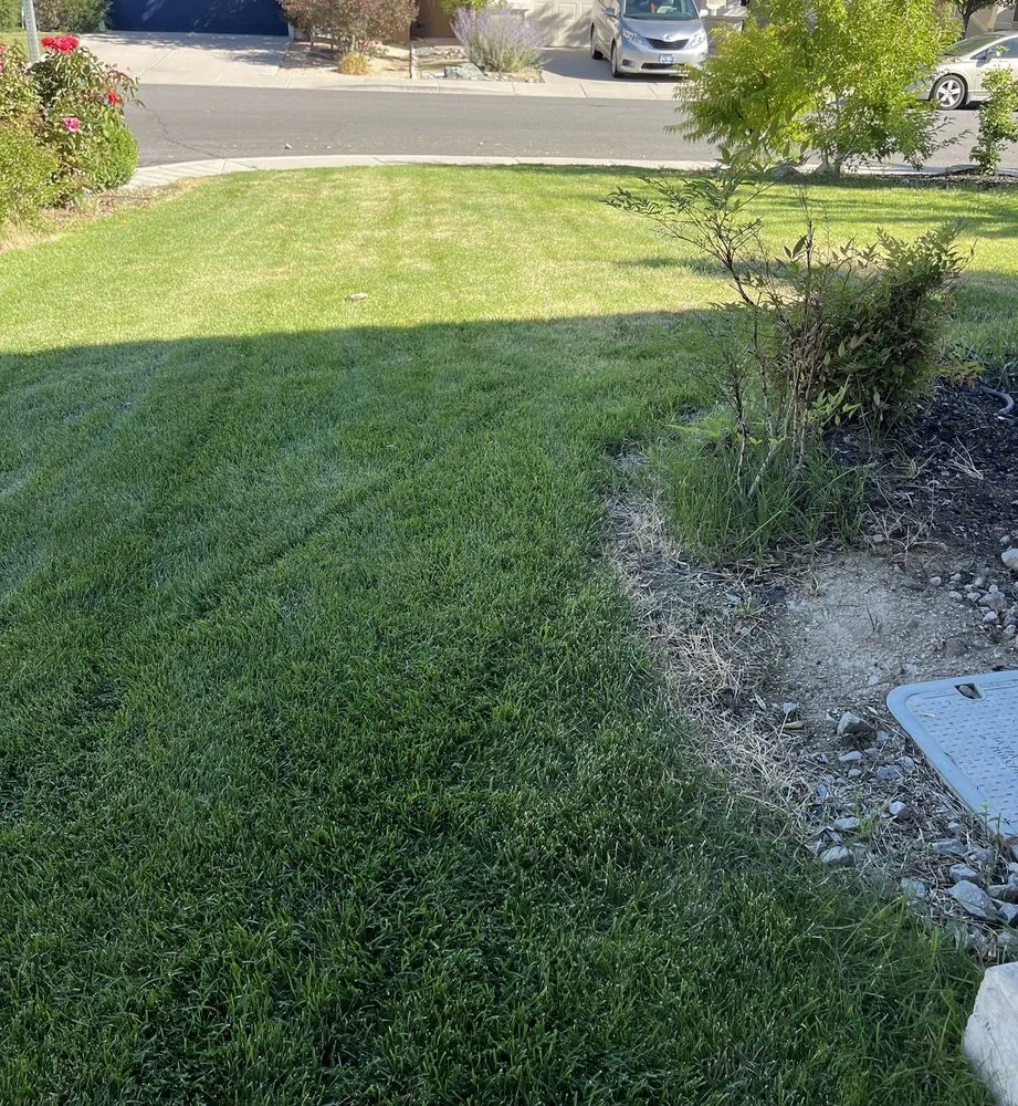 Professional yard maintenance near you across Sun Valley, NV - Upscapes Lawn and Landscape