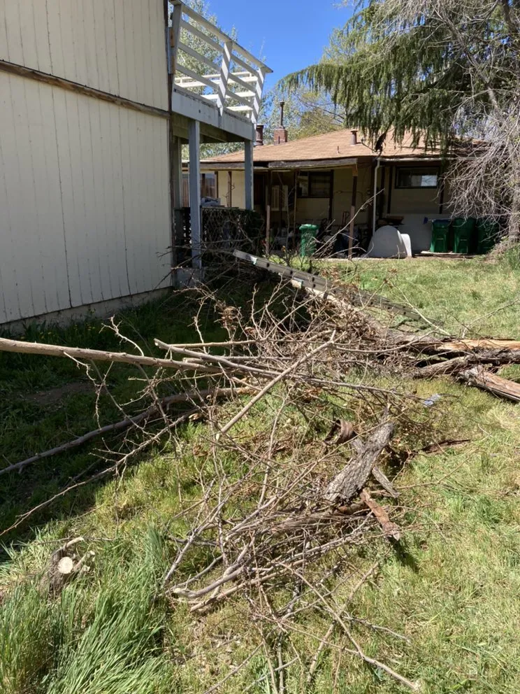 Top-rated residential landscaping in Sun Valley, NV - Upscapes Lawn and Landscape