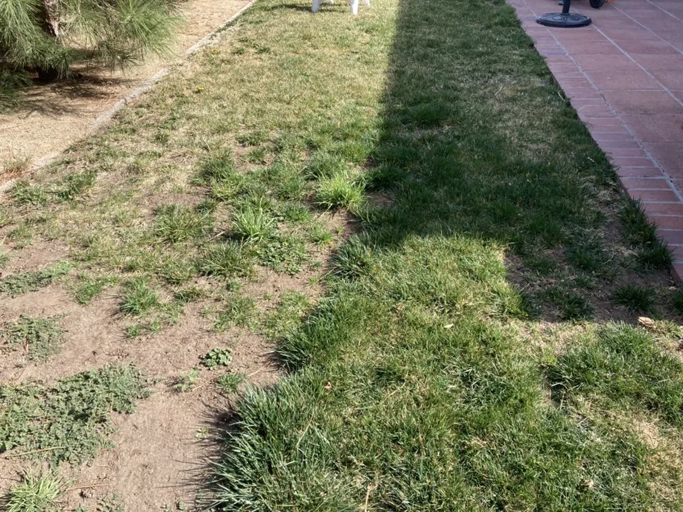 Professional landscaping services for beautiful yards across Sun Valley, NV - Upscapes Lawn and Landscape