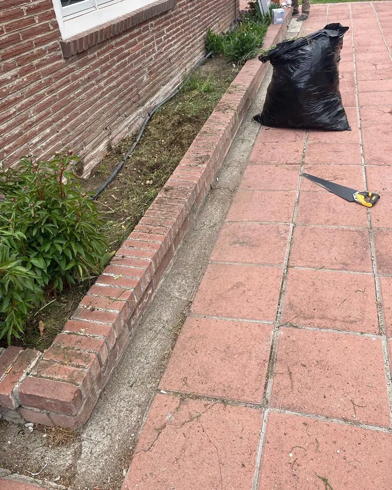 Affordable yard maintenance experts serving Sun Valley, NV - Upscapes Lawn and Landscape