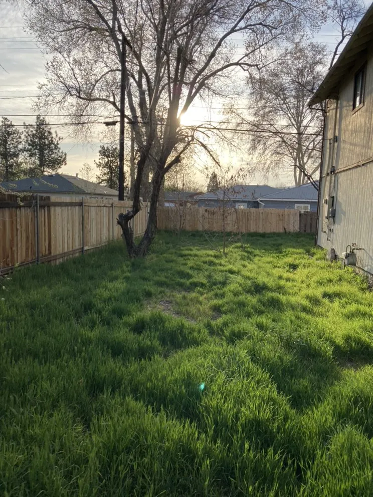 Professional outdoor landscaping in Sun Valley, NV by Upscapes Lawn and Landscape