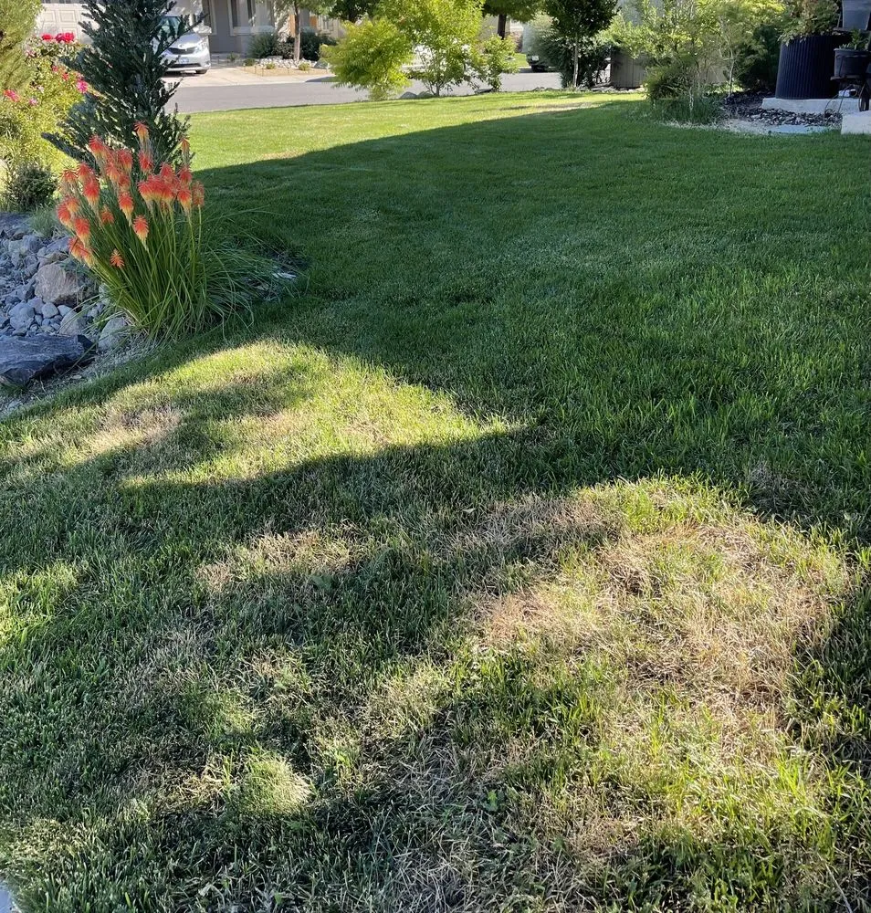 Affordable yard cleanup service for outdoor upgrades in Sun Valley, NV by Upscapes Lawn and Landscape