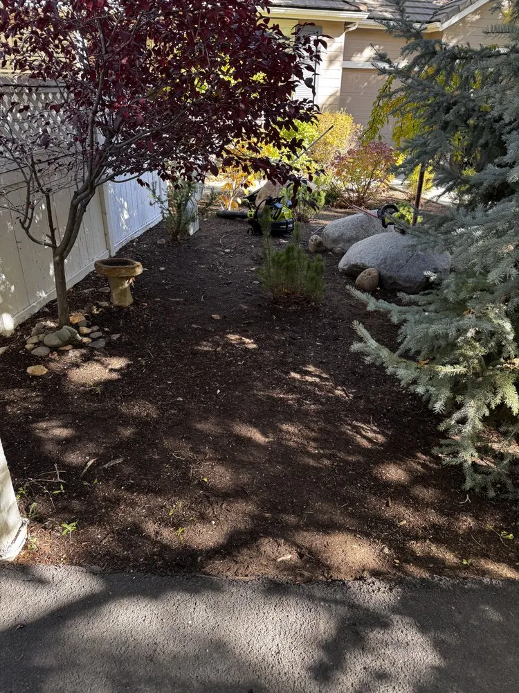 Affordable landscape design for year-round maintenance across Sun Valley, NV - Upscapes Lawn and Landscape