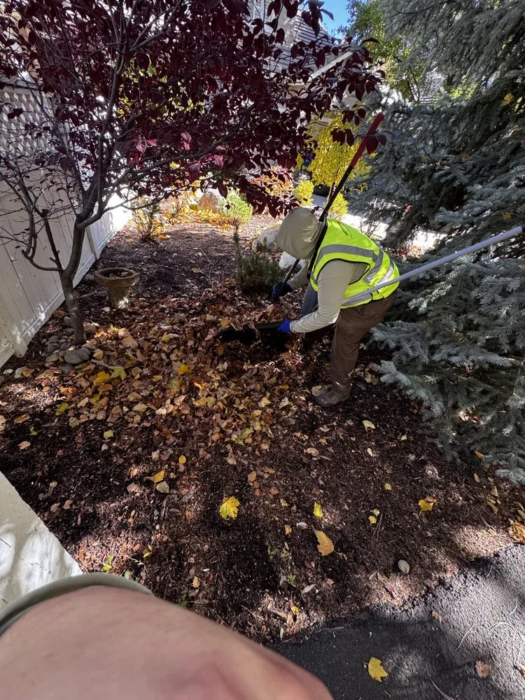 Expert yard cleanup service for homes across Sun Valley, NV - Upscapes Lawn and Landscape