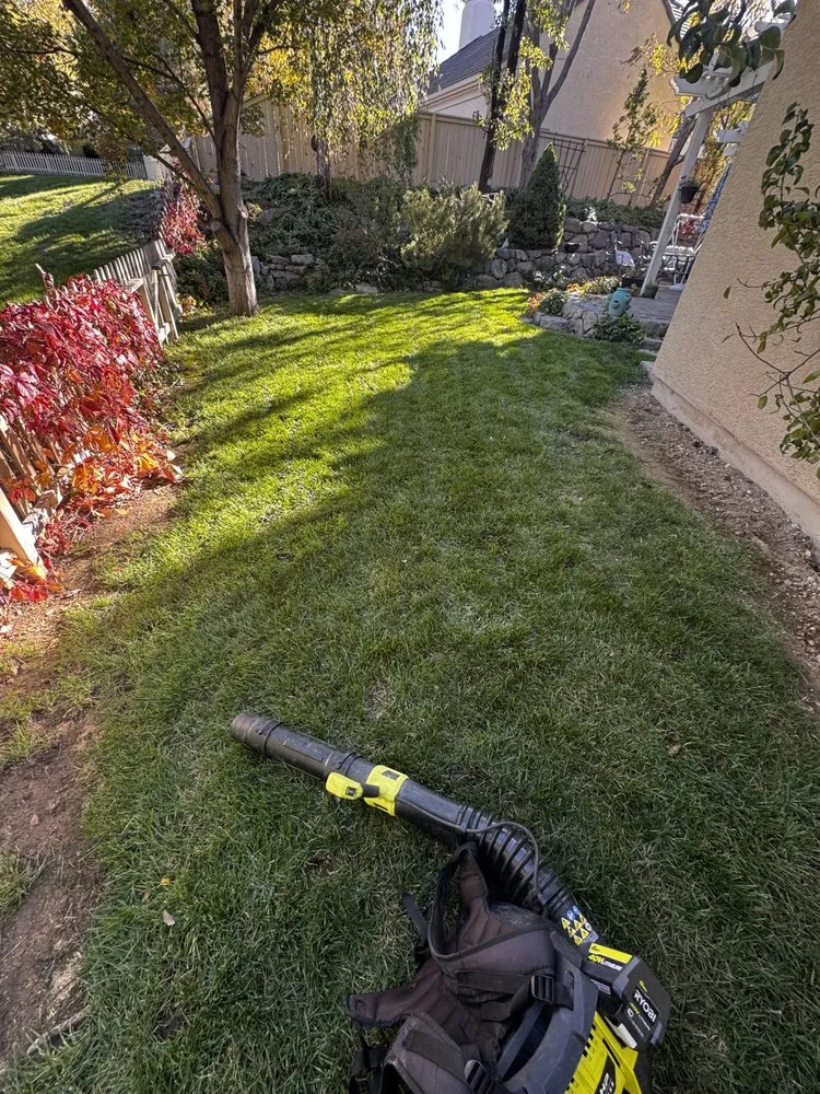 Expert yard maintenance experts serving Sun Valley, NV - Upscapes Lawn and Landscape