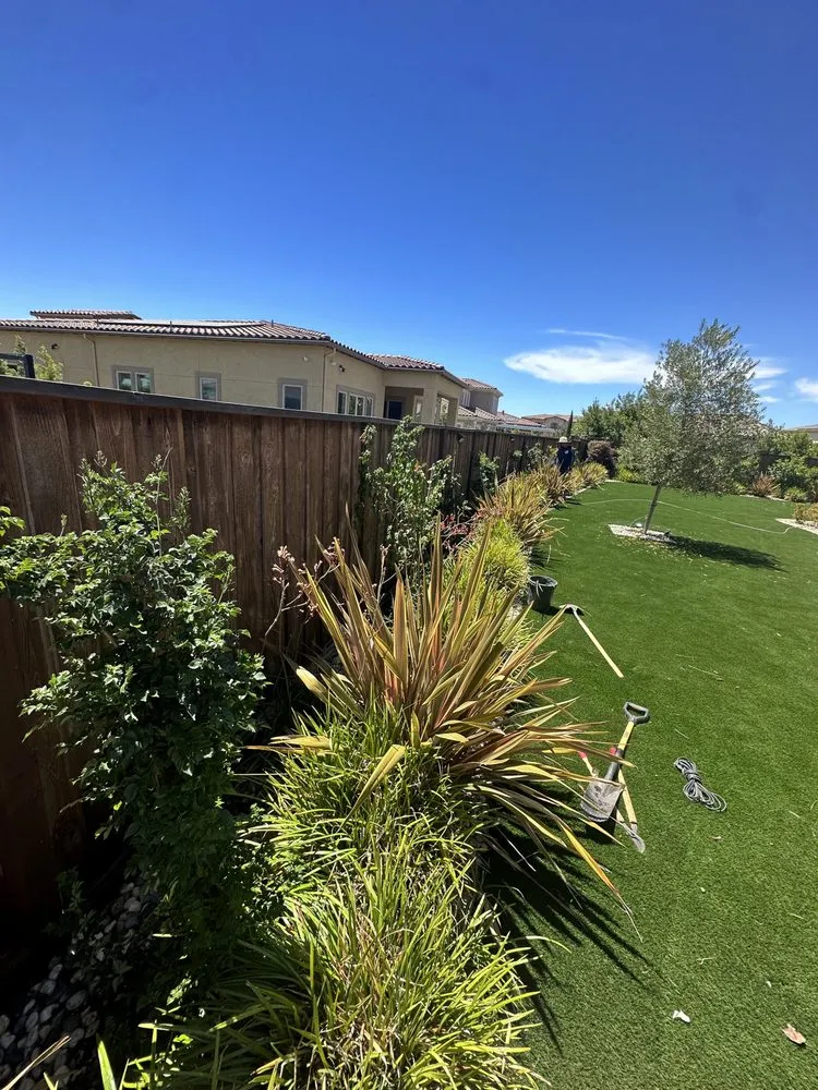 Affordable landscape installation for residential properties across Gilroy, CA - Upscope Landscaping