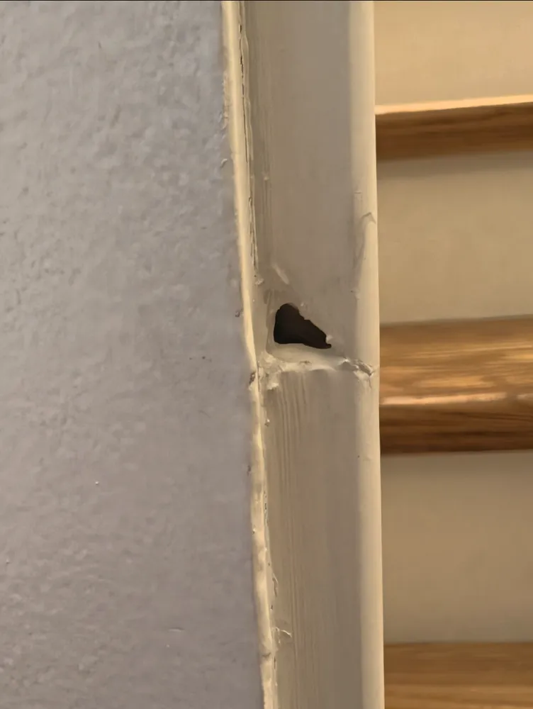 Trusted lawn care service for outdoor upgrades across Windham, NY - Upstate Estate Management