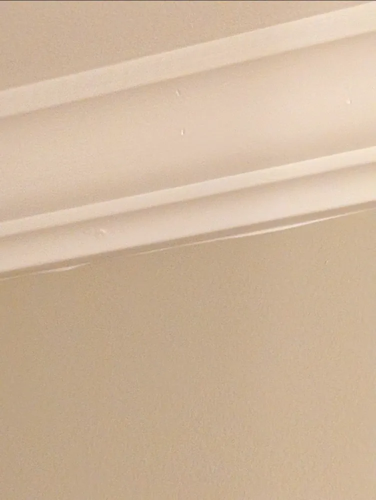 Expert outdoor landscaping for outdoor upgrades in Windham, NY by Upstate Estate Management