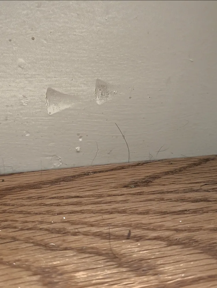 Affordable residential landscaping in Windham, NY - Upstate Estate Management