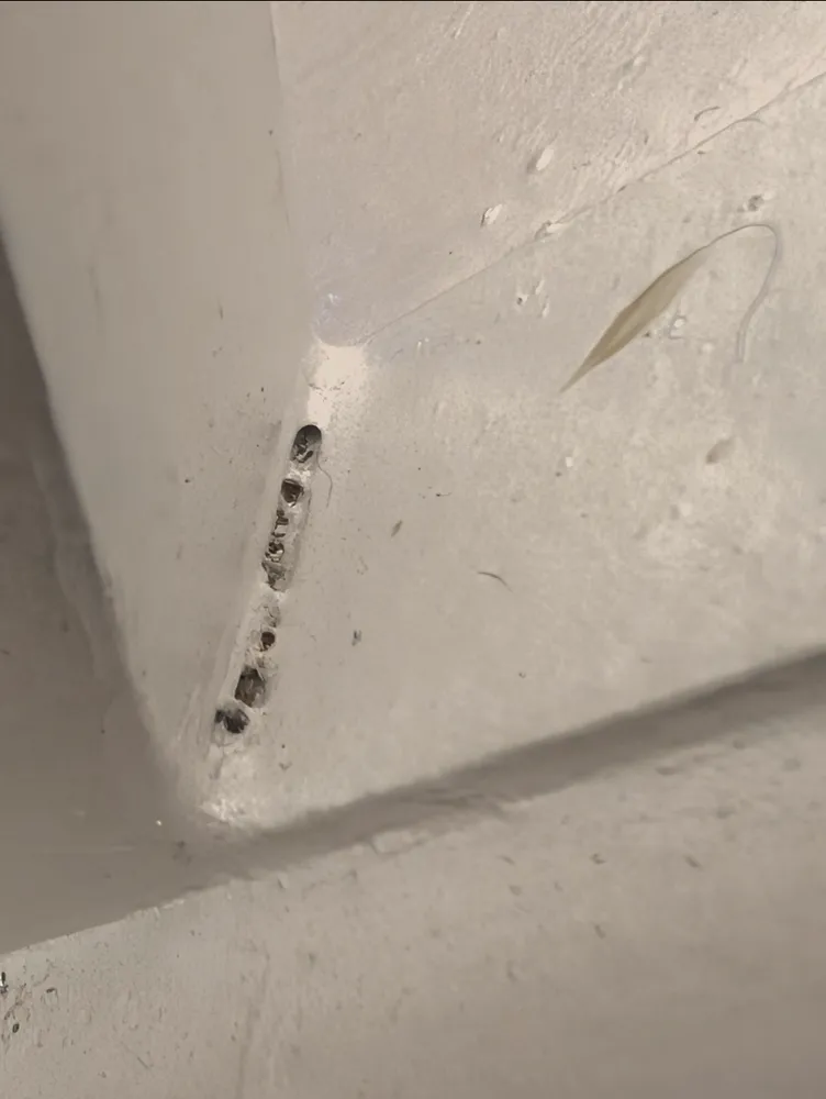 Professional lawn care service experts serving Windham, NY - Upstate Estate Management