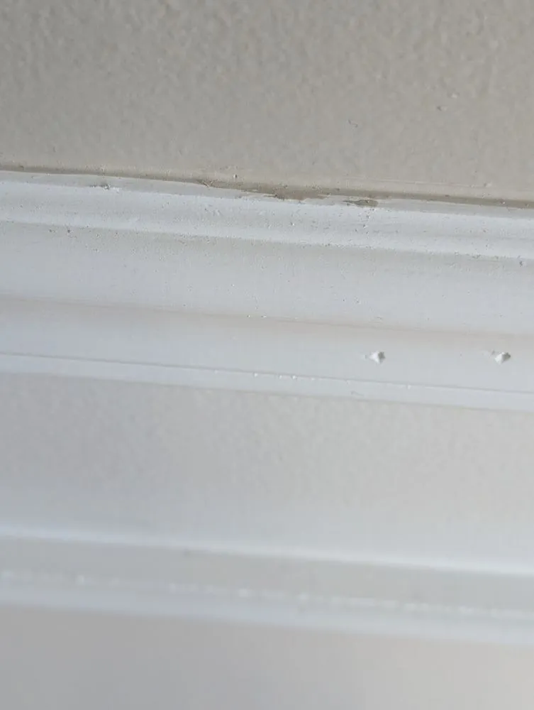 Affordable lawn care service for beautiful yards across Windham, NY - Upstate Estate Management