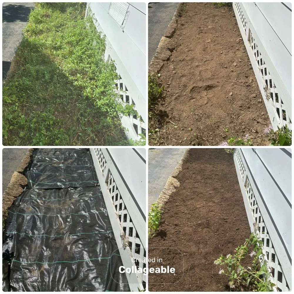 Professional lawn care service in Rochester, NY by Upstate Invasive Plant Control & Native Restoration