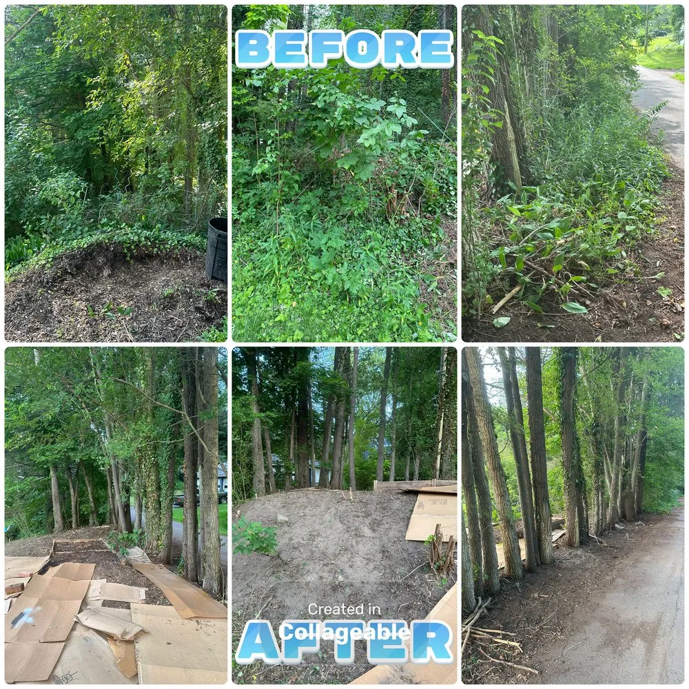 Professional garden landscaping in Rochester, NY - Upstate Invasive Plant Control & Native Restoration