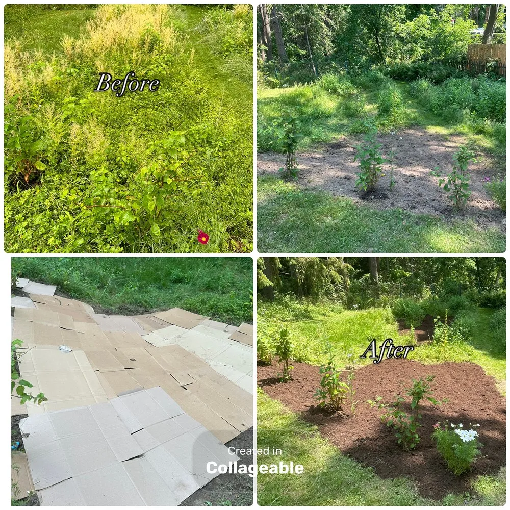 Affordable outdoor landscaping in Rochester, NY by Upstate Invasive Plant Control & Native Restoration