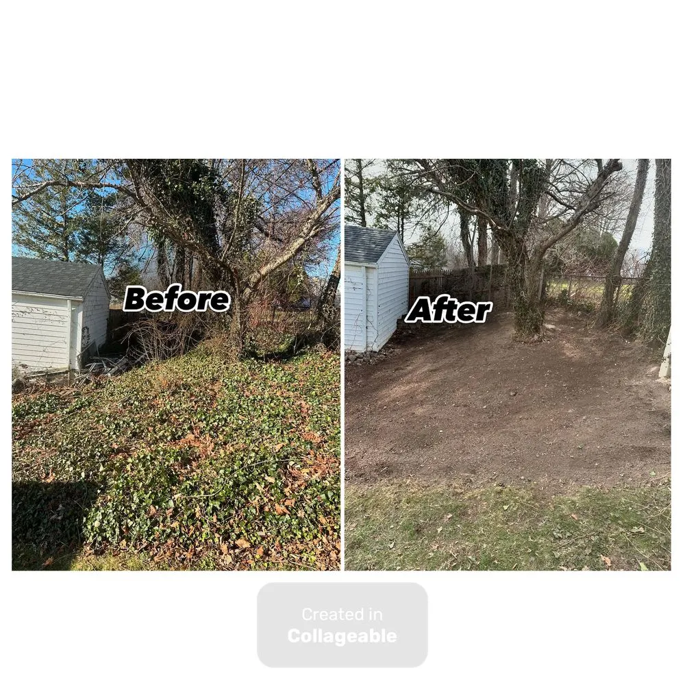 Top-rated yard maintenance with custom design across Rochester, NY - Upstate Invasive Plant Control & Native Restoration