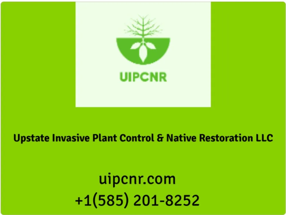 Affordable residential landscaping for year-round maintenance across Rochester, NY - Upstate Invasive Plant Control & Native Restoration