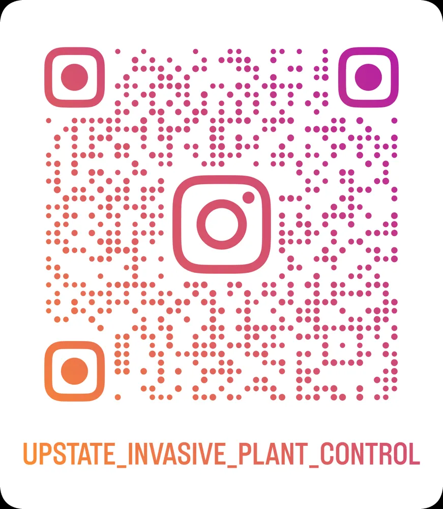 Trusted landscaping services in Rochester, NY by Upstate Invasive Plant Control & Native Restoration