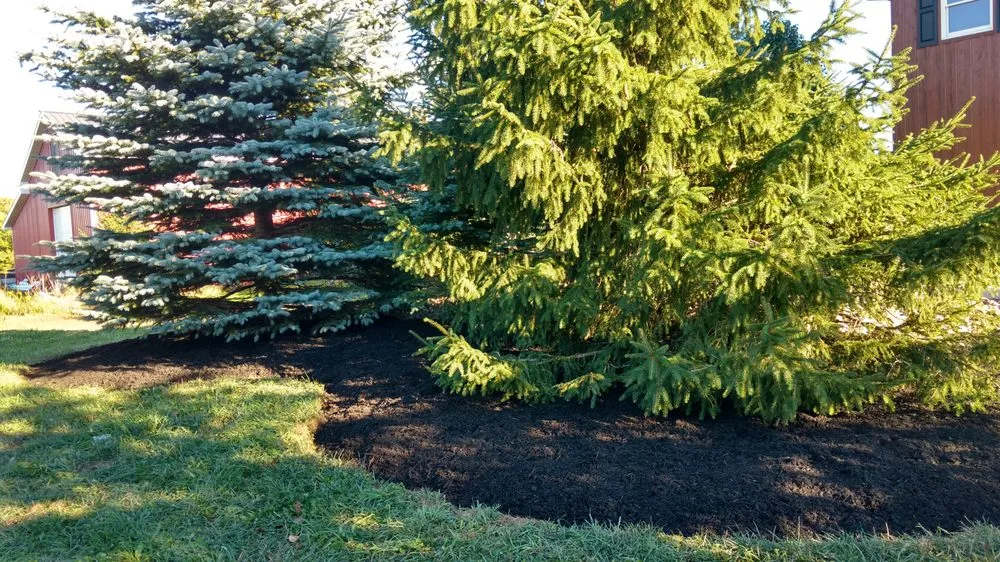 Expert landscape design for outdoor upgrades across Lackawanna, NY - Upstate Landscape & Design